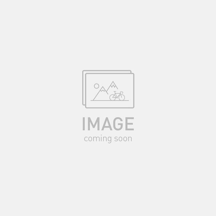 Turbo Levo Comp Alloy 2025
